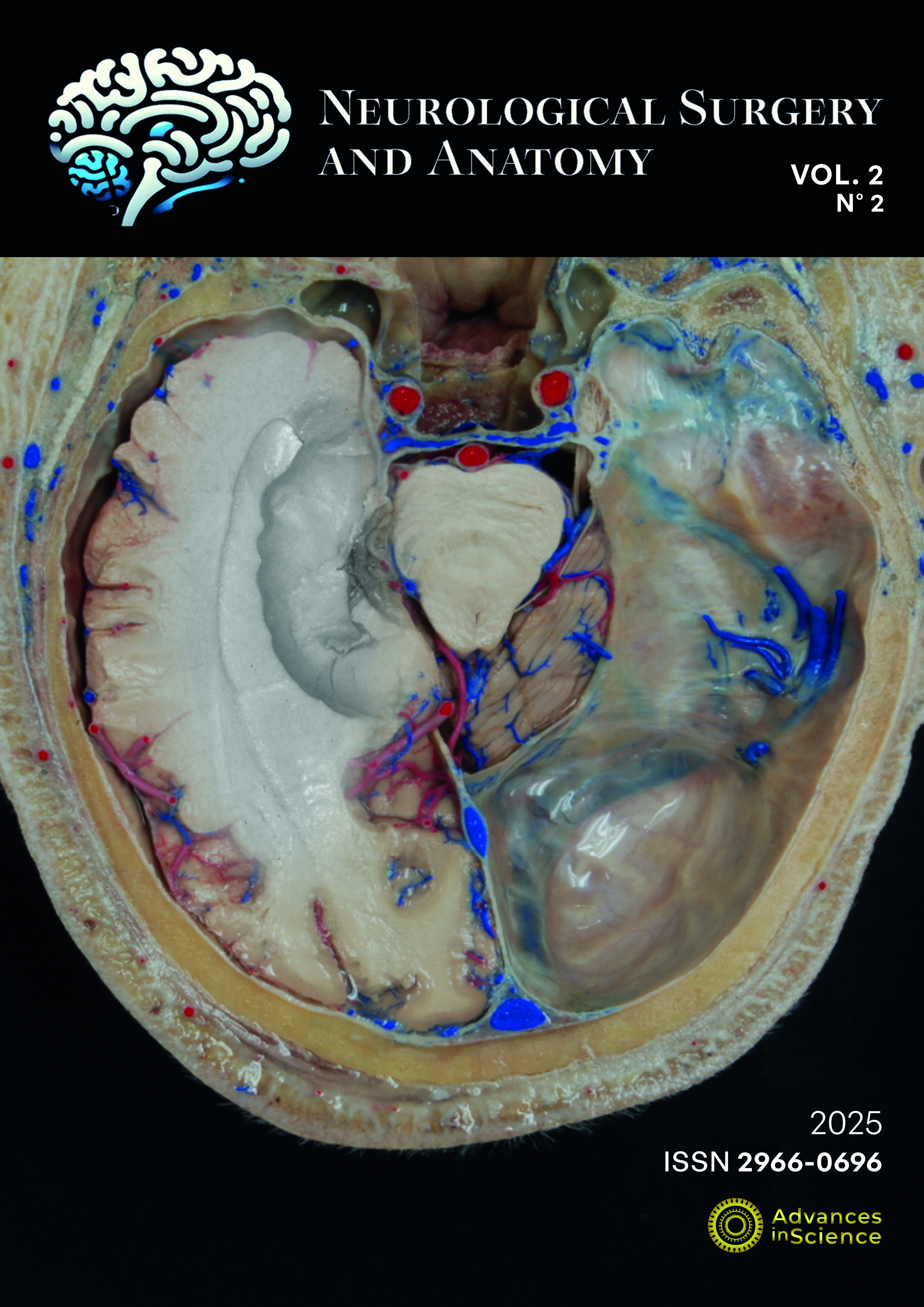 					View Vol. 2 No. 2 (2025)
				